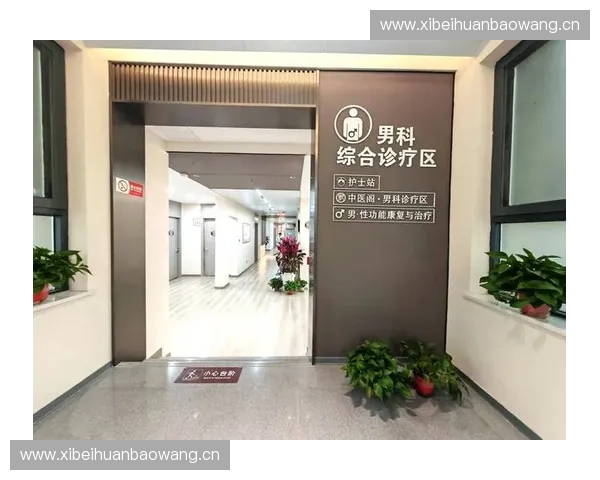 康复流程优化与患者康复效果提升的综合策略分析