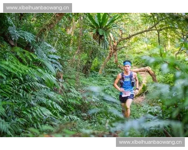 跳水运动的魅力与挑战：从技巧训练到赛事背后的心理博弈